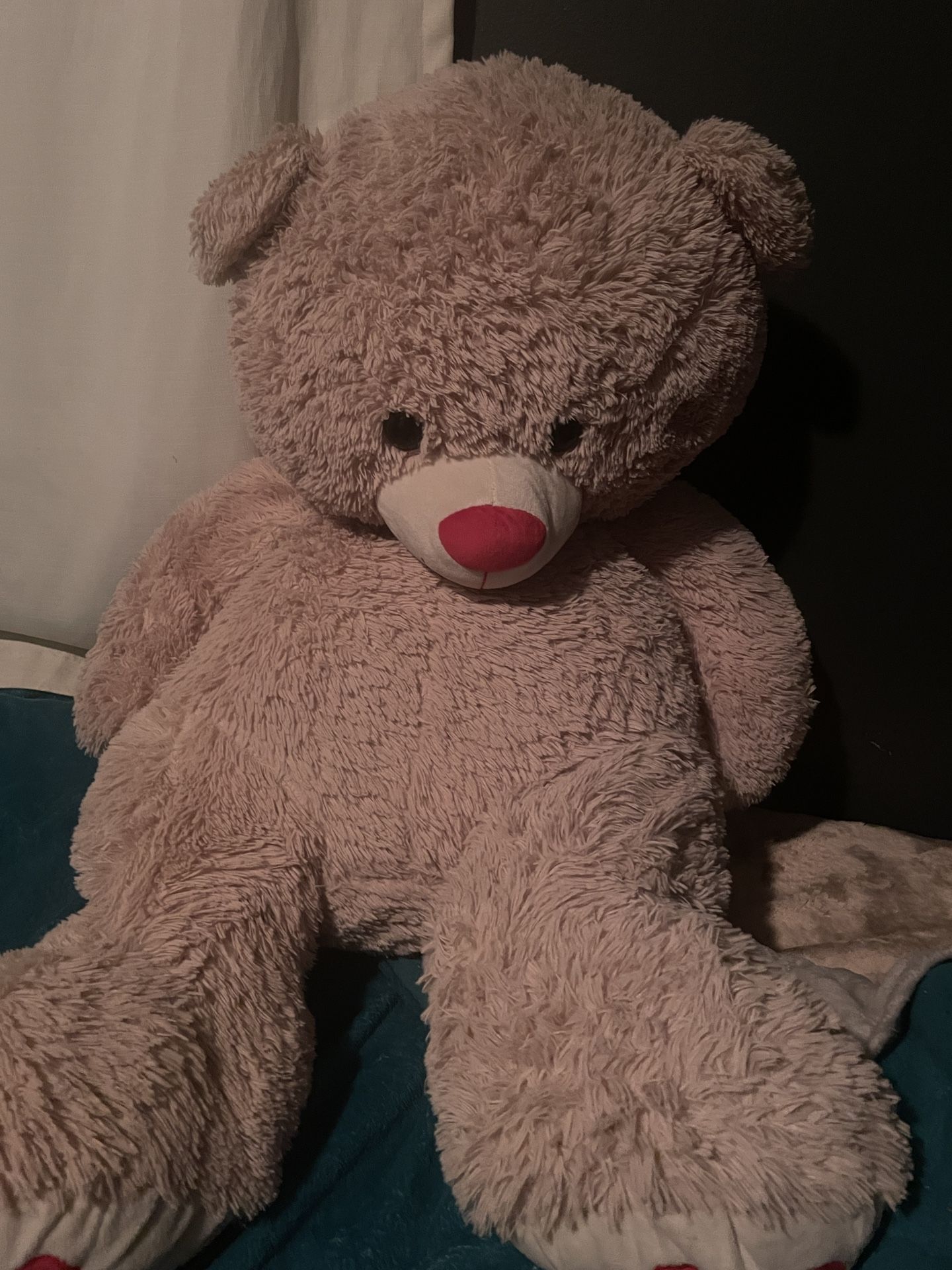 Teddy Bear