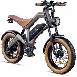 NEW DYU M20 All-Terrain Long-Range Electric Bike(Grey)