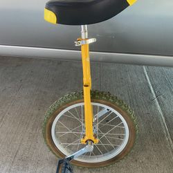 Unicycle Bike 