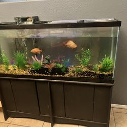 55 Gallon Tank and Stand 