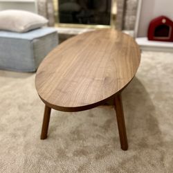 Oval Coffee Table 