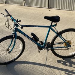 Roadmaster 24”