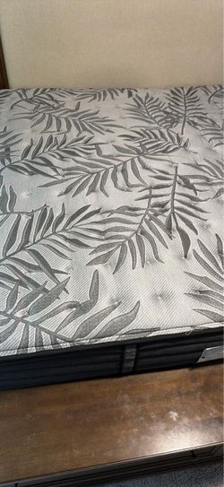 Sealy Posturepedic Plus Mount Auburn 13” Medium King Mattress