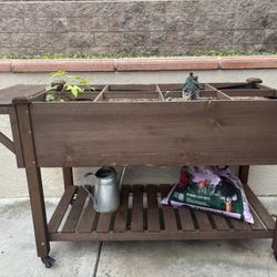 Stand Up Garden Box