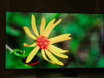55" LG C5 4K OLED TV (2025/2026 Model) – Mint Condition
