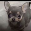 Tony