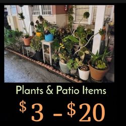 MUST SELL ASAP!  Plants, Pottery,  Small Metal Tables, Plant Stands, Vintage Glass Bricks  & More!