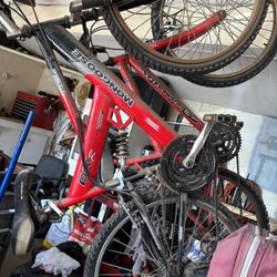 Mongoose And Road master Bike