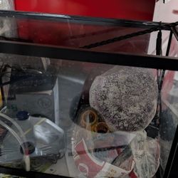 Fish Tank With Accessories 