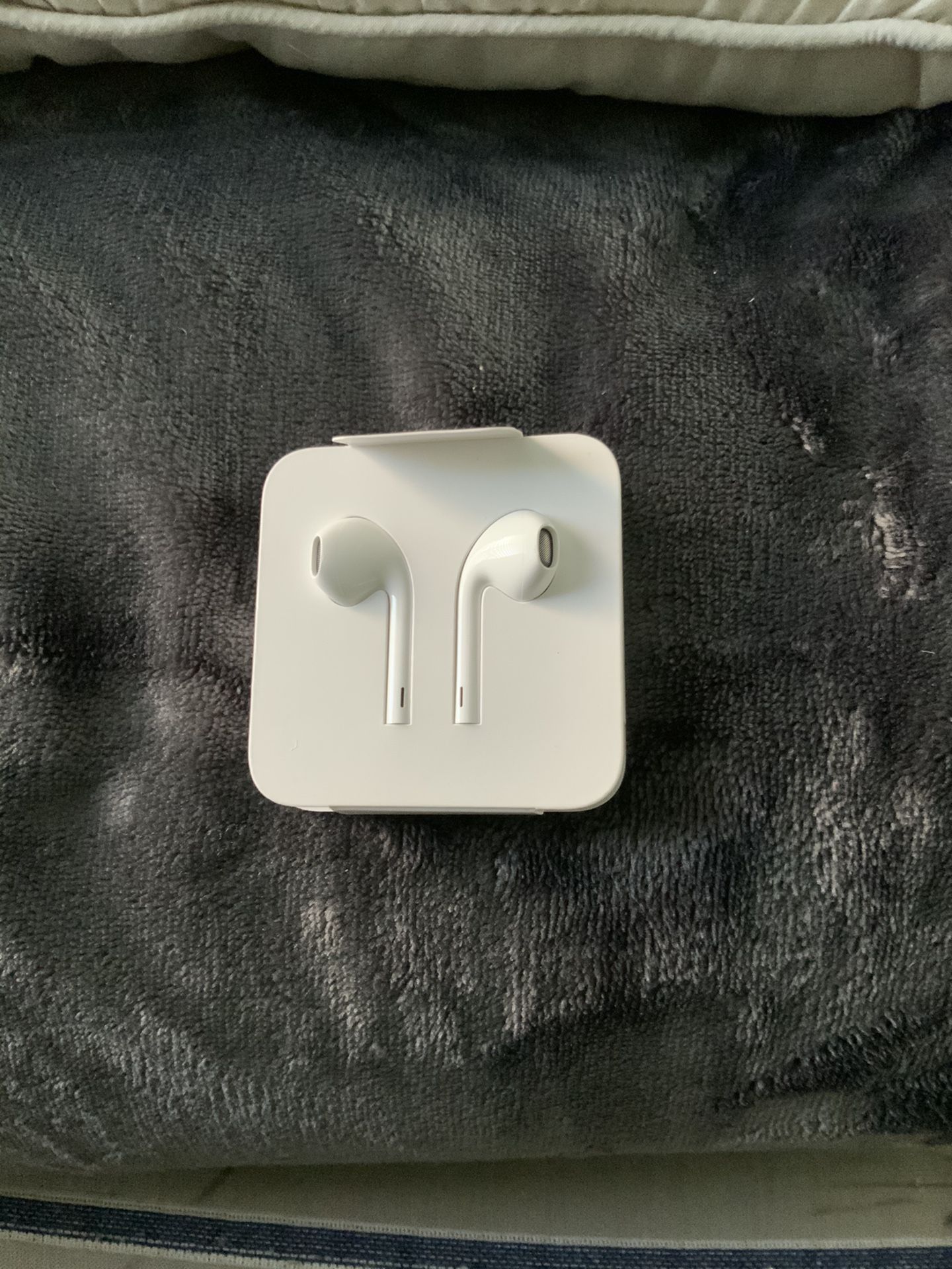 iPhone earphones