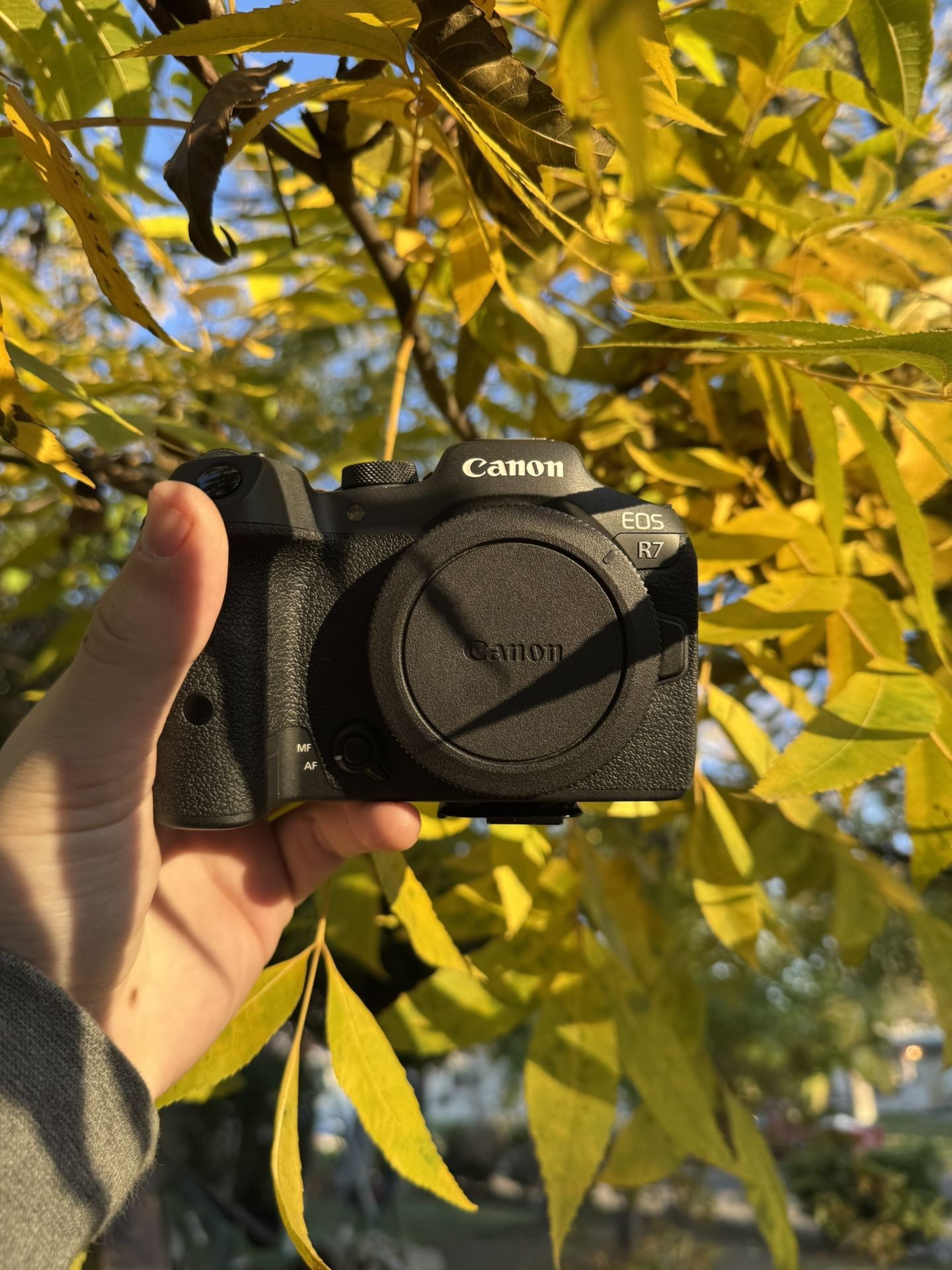 Canon EOS r7 (brand new)