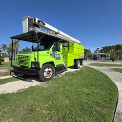 Tree Trimming In South  Fl