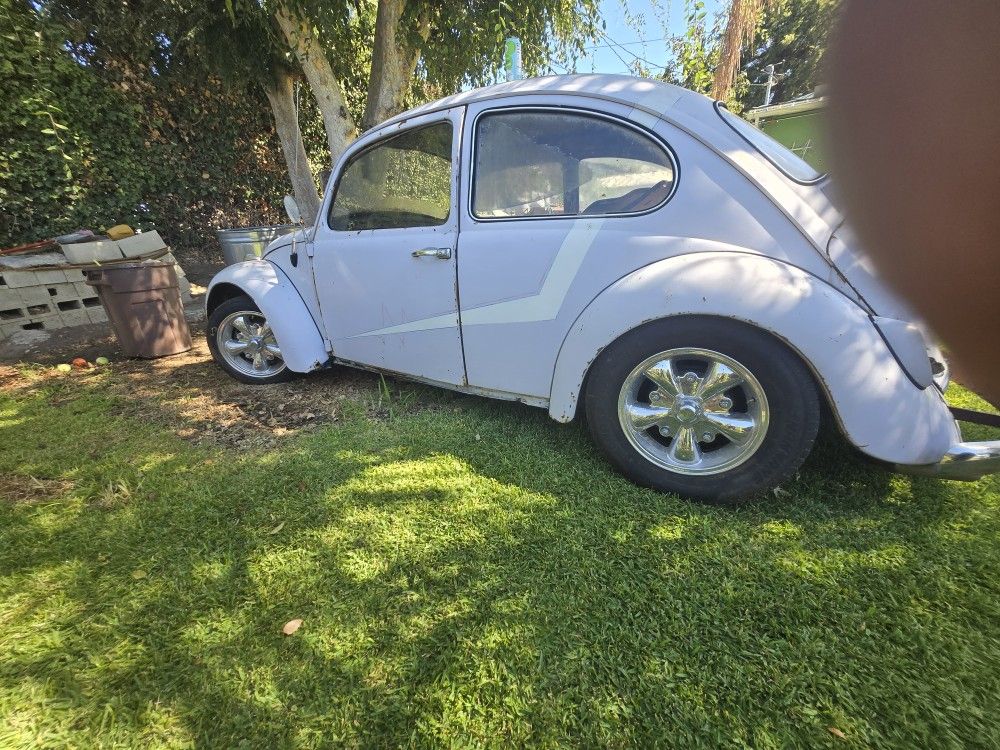 1965 Volkswagen 1600