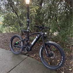 Electric mountain bike 1000w middrive 