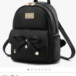 Mini Backpack Purse
