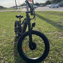 Dual Motor Electric Mountain Bike