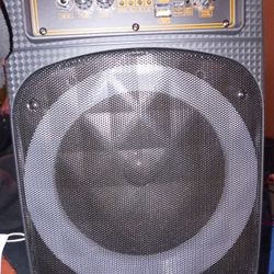 8 Inch Bluetooth Speaker Yet