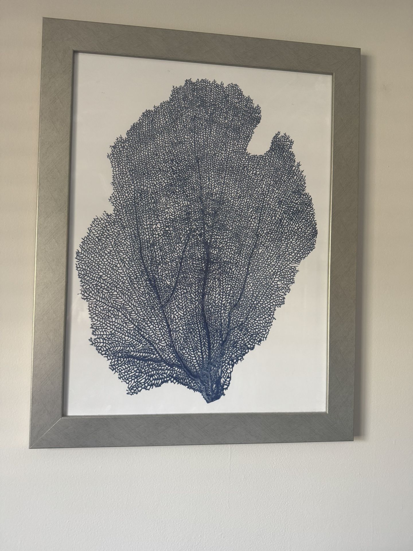 Coral Framed Print