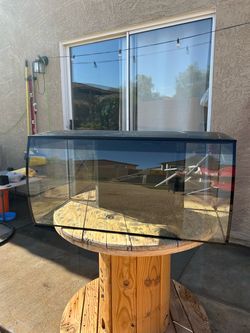Fluval 32.5 Gallon Bow Front Aquarium