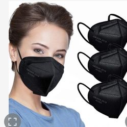 New N95 Mask