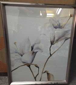 Delightful Petals I Wall Art print framed 22x28