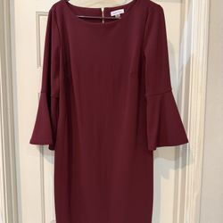 Calvin Klein Burgundy Dress