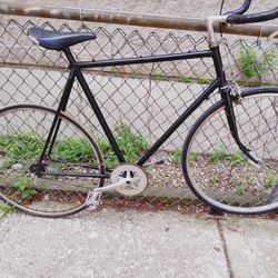 Large Ultra Lightweight Singlespeed Road Bike W Freewheel/ bullhorn 