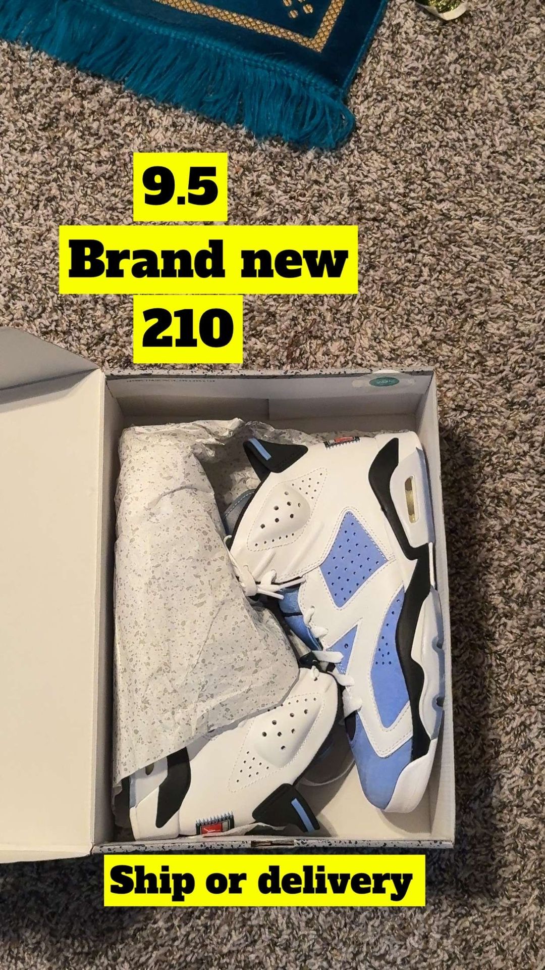 Jordan 6