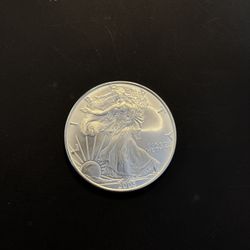 2005 Silver Eagle 