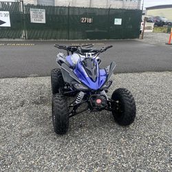 Brand New Maxi Wasp 200cc Atv