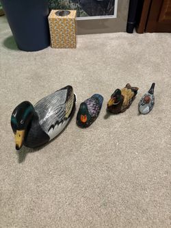 Ducks