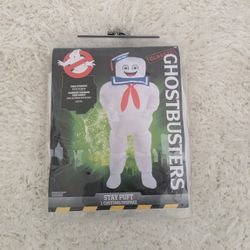 Ghost Busters Stay Pufft
