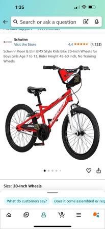 Schwinn Koen 20 Inch Kids Bike