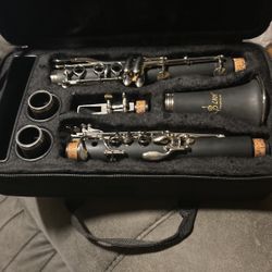 Brand new clarinet