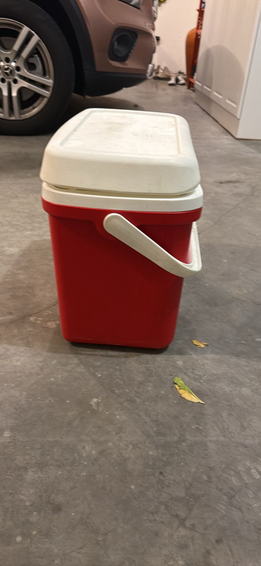 Igloo cooler