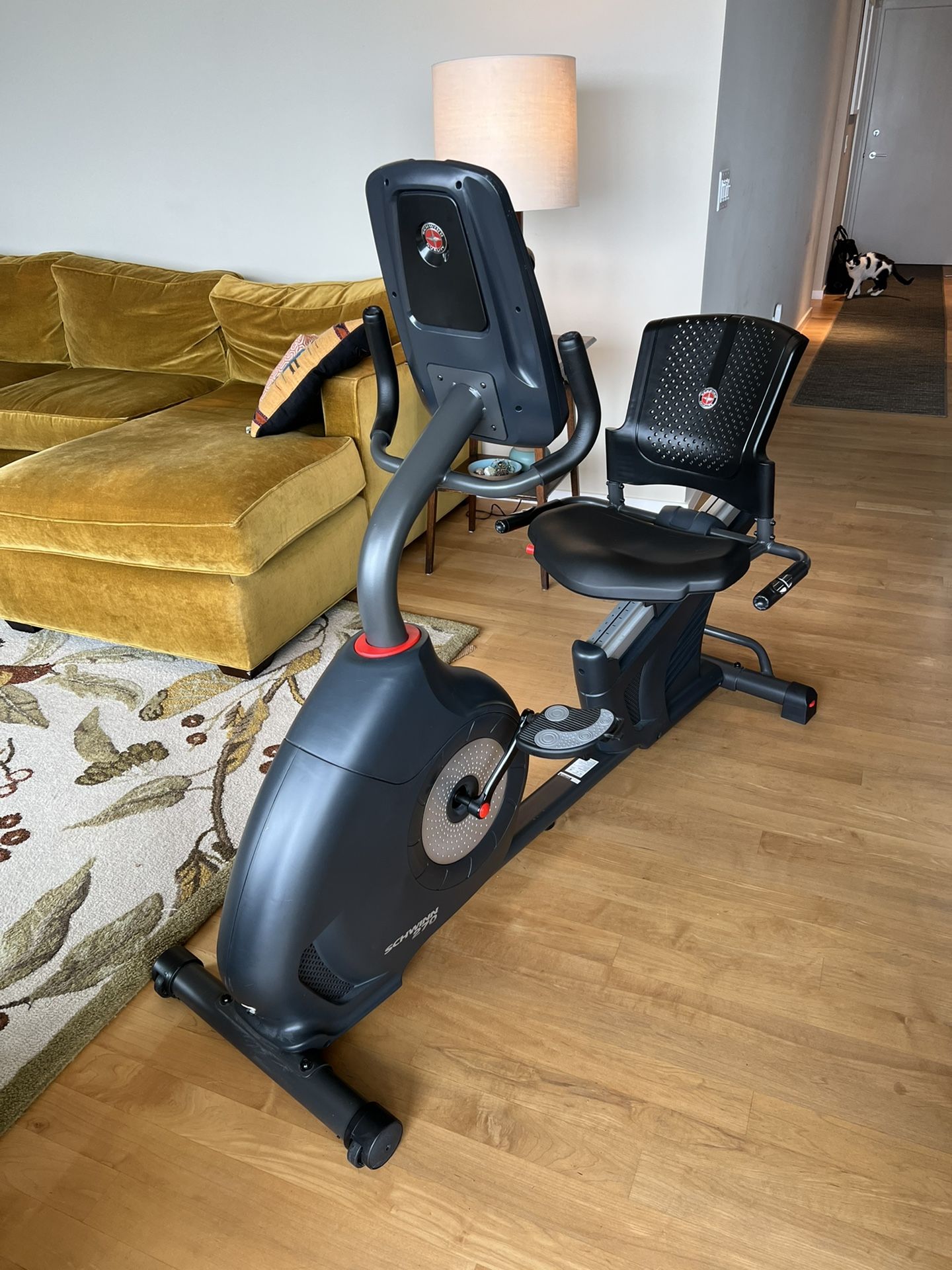 Schwinn 270 Recumbent Bike (used)