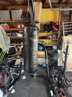 Everlast 100lb Punching Bag/ Speed Bag Set