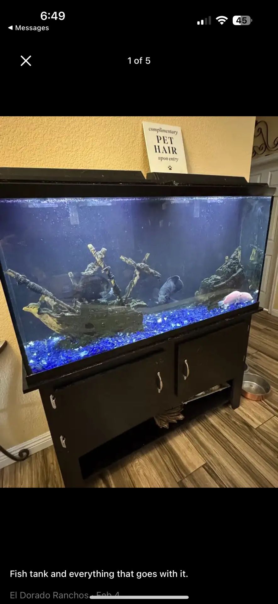 Fish tank and everything that goes with it.