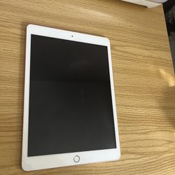 iPad (9th Generation )