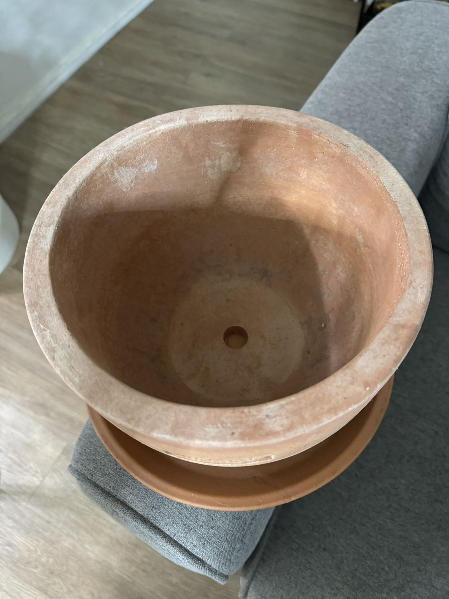 Supreme Poggi Ugo Large Planter Collectibles