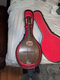 Stella mandolin