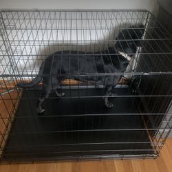 XL Dog crate (Metal)