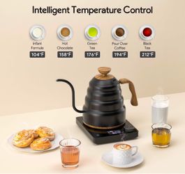 Electric Gooseneck Kettle with Temperature Control