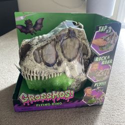 Dinosaur Toy
