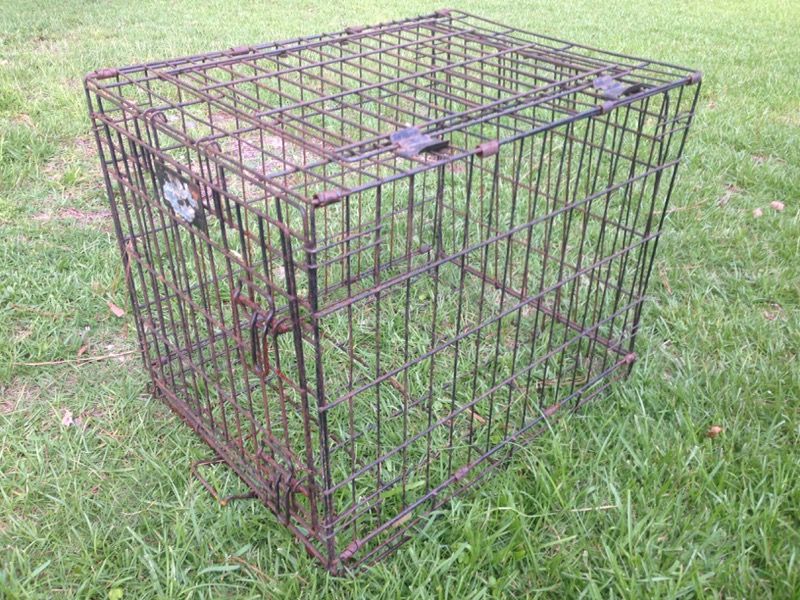 Dog kennel - top opens