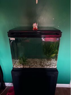 28 gallon Aquarium and Stand w built in HOB filter and lighting
