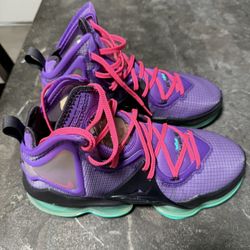 LeBron XiX 2019’s Basketball Shoes (Wild Berry)