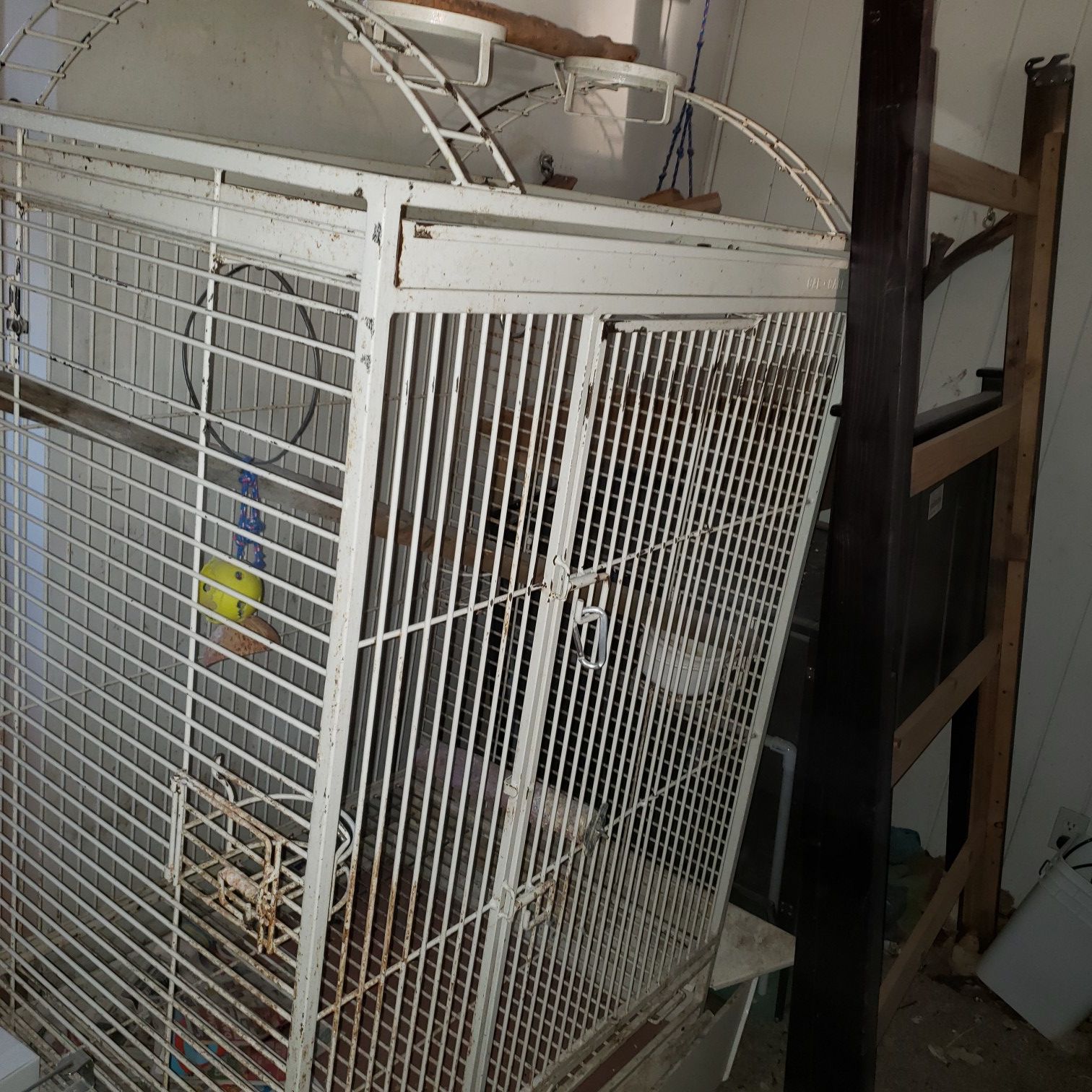 California custom macaw or large bird cage.