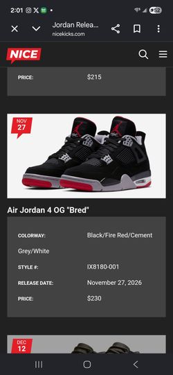 Jordan 4syy wait til November