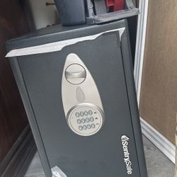 Sentry Safe
